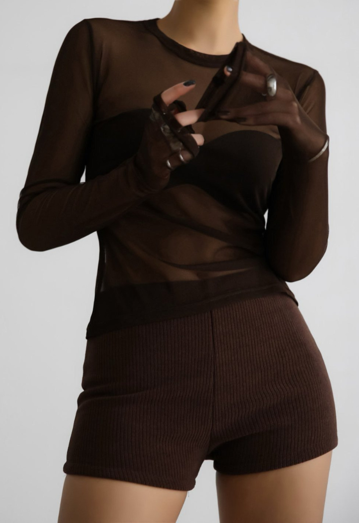 Mesh Sheer Long Sleeve